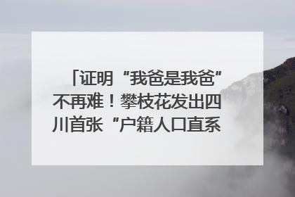 证明“我爸是我爸”不再难！攀枝花发出四川首张“户籍人口直系亲属关系谱”