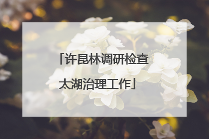 许昆林调研检查太湖治理工作