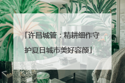 许昌城管：精耕细作守护夏日城市美好容颜