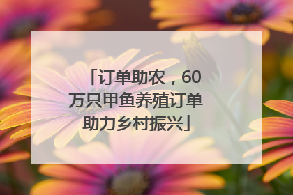 订单助农，60万只甲鱼养殖订单助力乡村振兴