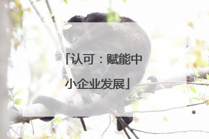 认可：赋能中小企业发展