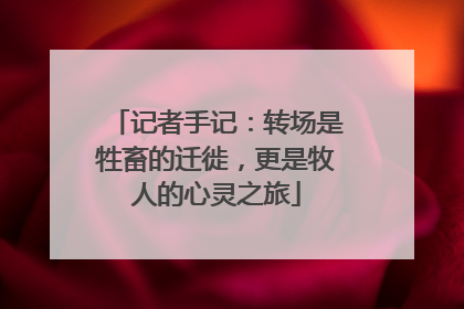记者手记：转场是牲畜的迁徙，更是牧人的心灵之旅