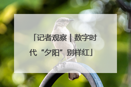记者观察｜数字时代“夕阳”别样红