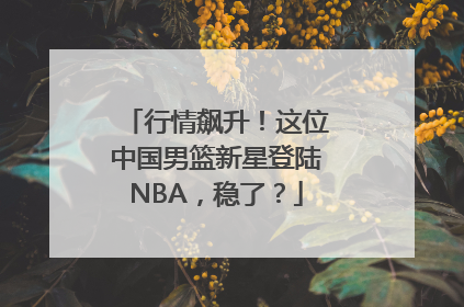 行情飙升！这位中国男篮新星登陆NBA，稳了？