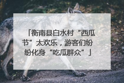 衡南县白水村“西瓜节”太欢乐，游客们纷纷化身“吃瓜群众”