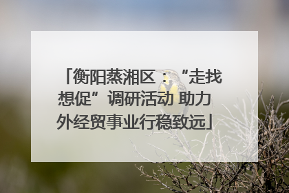 衡阳蒸湘区：“走找想促”调研活动 助力外经贸事业行稳致远