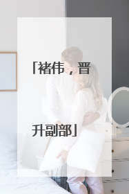 褚伟，晋升副部