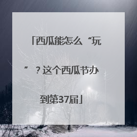 西瓜能怎么“玩”？这个西瓜节办到第37届