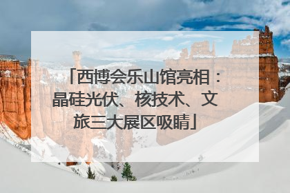 西博会乐山馆亮相：晶硅光伏、核技术、文旅三大展区吸睛