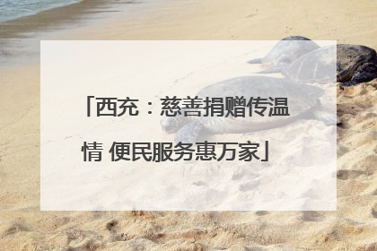 西充：慈善捐赠传温情 便民服务惠万家