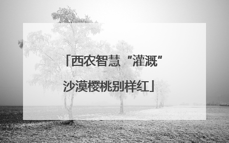 西农智慧“灌溉” 沙漠樱桃别样红