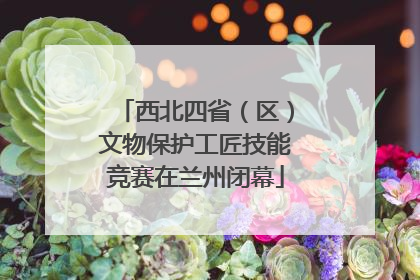 西北四省（区）文物保护工匠技能竞赛在兰州闭幕