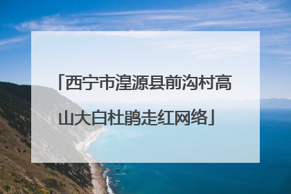 西宁市湟源县前沟村高山大白杜鹃走红网络