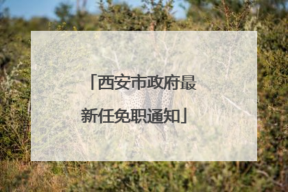 西安市政府最新任免职通知