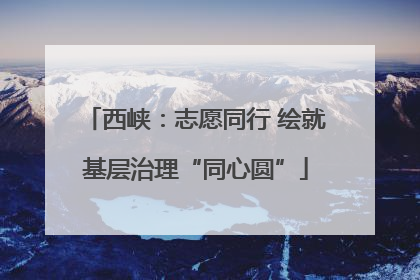 西峡：志愿同行 绘就基层治理“同心圆”