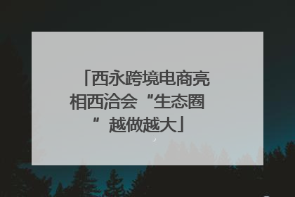 西永跨境电商亮相西洽会“生态圈”越做越大
