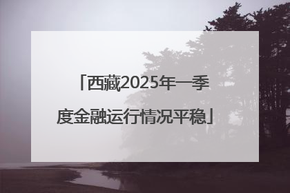 西藏2025年一季度金融运行情况平稳
