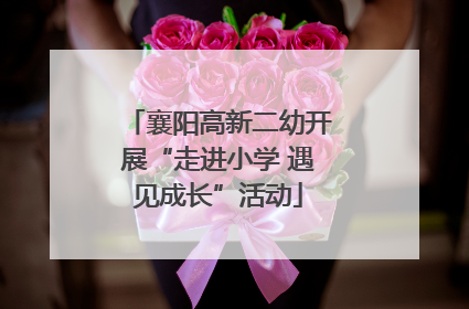 襄阳高新二幼开展“走进小学 遇见成长”活动