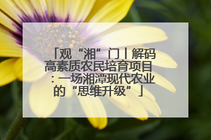 观“湘”门丨解码高素质农民培育项目：一场湘潭现代农业的“思维升级”
