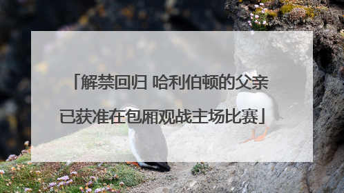 解禁回归 哈利伯顿的父亲已获准在包厢观战主场比赛
