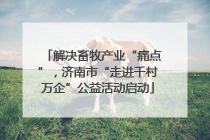 解决畜牧产业“痛点”，济南市“走进千村万企”公益活动启动