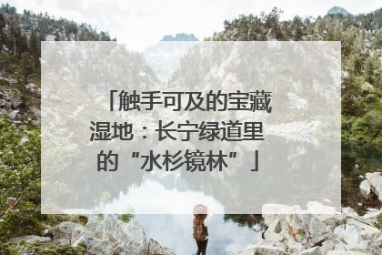 触手可及的宝藏湿地：长宁绿道里的“水杉镜林”
