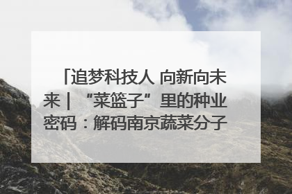 追梦科技人 向新向未来｜“菜篮子”里的种业密码：解码南京蔬菜分子育种的创新之路