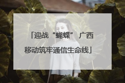 迎战“蝴蝶” 广西移动筑牢通信生命线