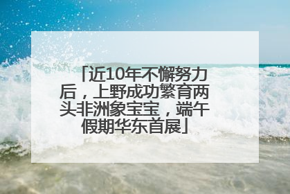 近10年不懈努力后，上野成功繁育两头非洲象宝宝，端午假期华东首展