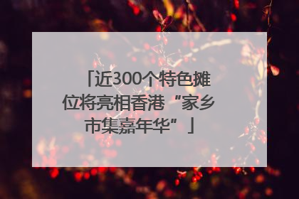 近300个特色摊位将亮相香港“家乡市集嘉年华”