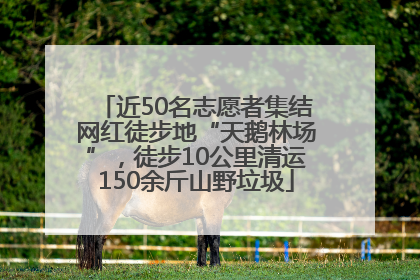 近50名志愿者集结网红徒步地“天鹅林场”，徒步10公里清运150余斤山野垃圾