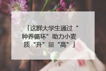 这群大学生通过“种养循环”助力小麦质“升”量“高”