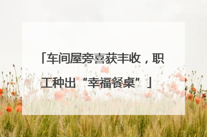 车间屋旁喜获丰收，职工种出“幸福餐桌”