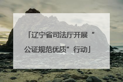 辽宁省司法厅开展“公证规范优质”行动