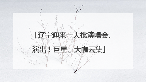 辽宁迎来一大批演唱会、演出！巨星、大咖云集