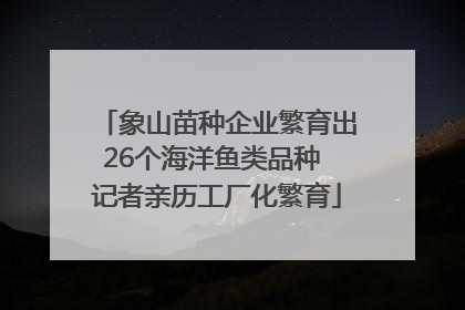 象山苗种企业繁育出26个海洋鱼类品种 记者亲历工厂化繁育