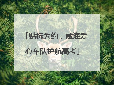 贴标为约，威海爱心车队护航高考