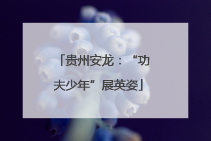 贵州安龙：“功夫少年”展英姿