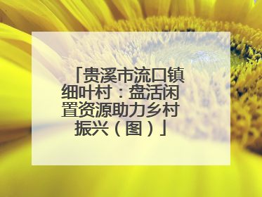贵溪市流口镇细叶村：盘活闲置资源助力乡村振兴（图）