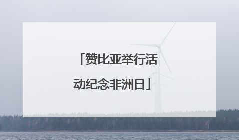 赞比亚举行活动纪念非洲日