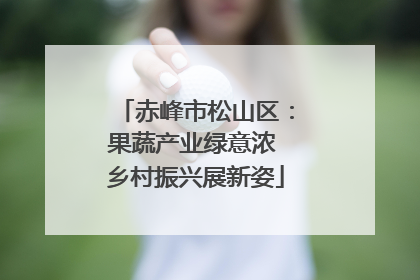 赤峰市松山区：果蔬产业绿意浓 乡村振兴展新姿