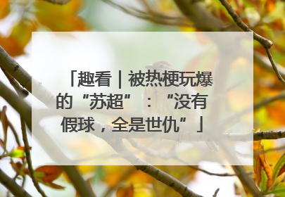 趣看｜被热梗玩爆的“苏超”：“没有假球，全是世仇”