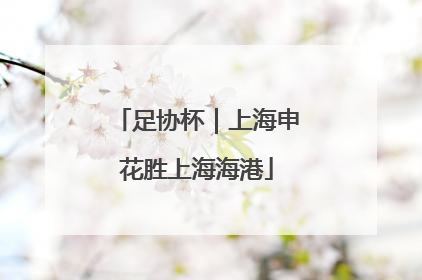 足协杯｜上海申花胜上海海港