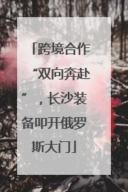 跨境合作“双向奔赴”，长沙装备叩开俄罗斯大门
