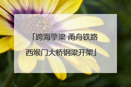 跨海擎梁 甬舟铁路西堠门大桥钢梁开架
