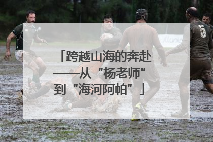 跨越山海的奔赴——从“杨老师”到“海河阿帕”