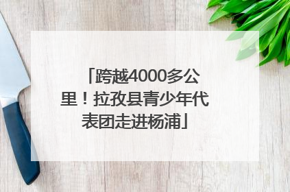 跨越4000多公里！拉孜县青少年代表团走进杨浦
