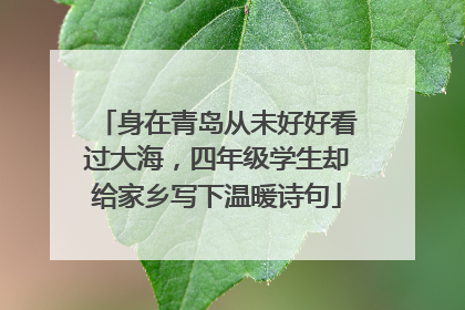 身在青岛从未好好看过大海，四年级学生却给家乡写下温暖诗句