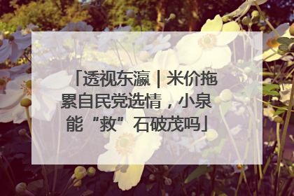 透视东瀛｜米价拖累自民党选情，小泉能“救”石破茂吗