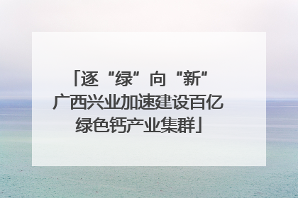 逐“绿”向“新” 广西兴业加速建设百亿绿色钙产业集群
